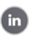 LinkedIn icon